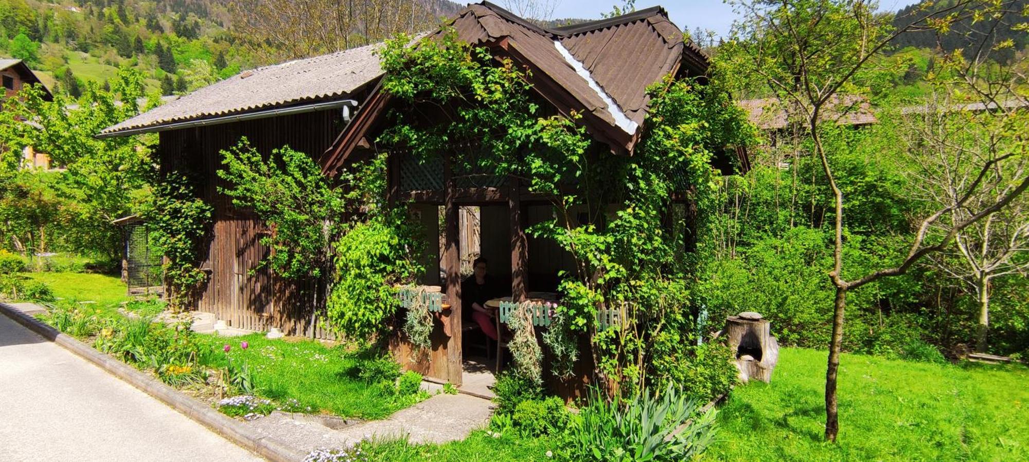 Domacija Markc Zelezniki Dış mekan fotoğraf