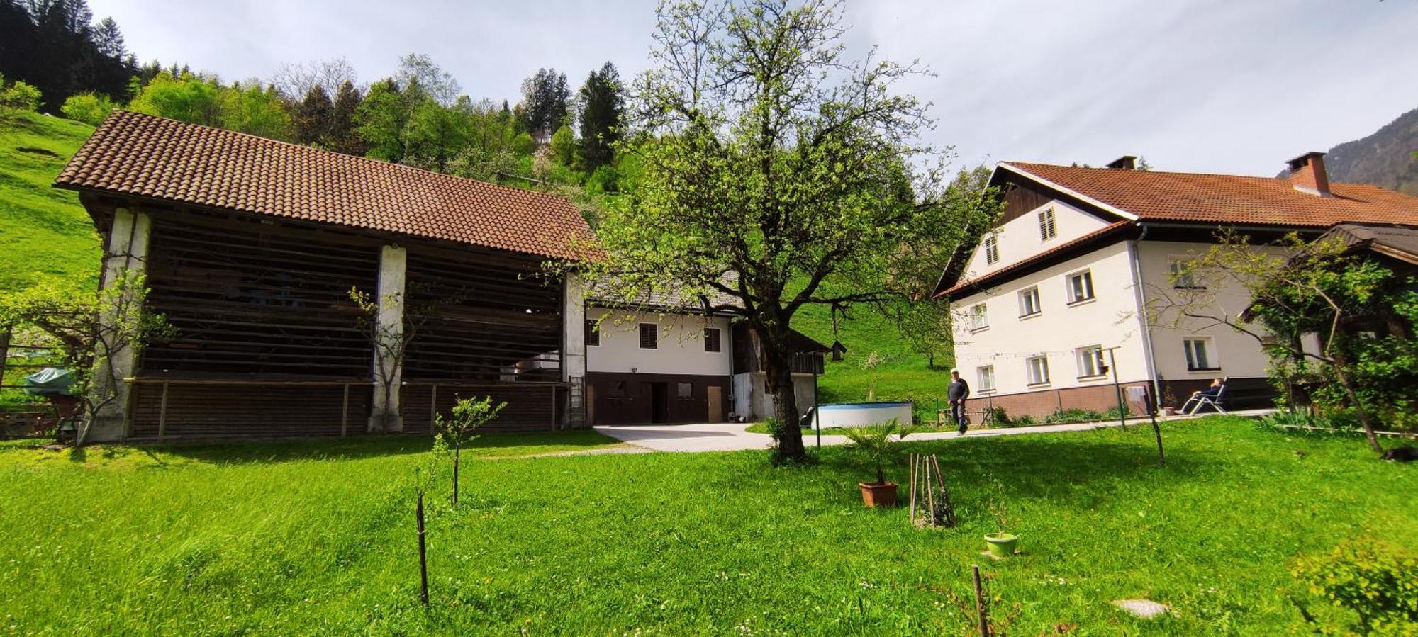 Domacija Markc Zelezniki Dış mekan fotoğraf